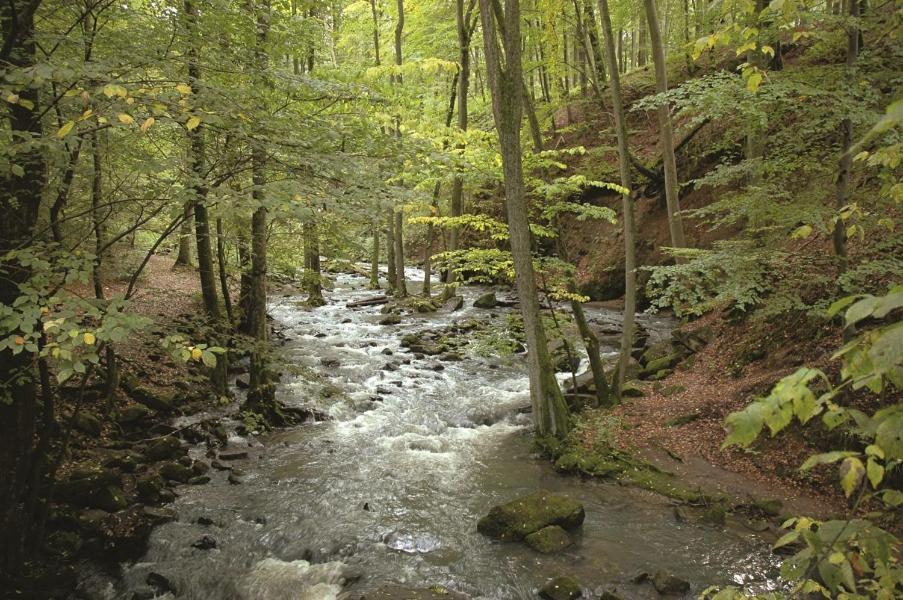 Fewo Hof Elbbachtal فستربورغ المظهر الخارجي الصورة