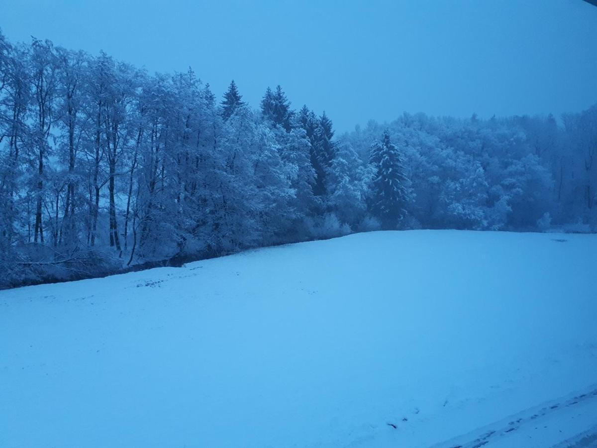 Fewo Hof Elbbachtal فستربورغ المظهر الخارجي الصورة